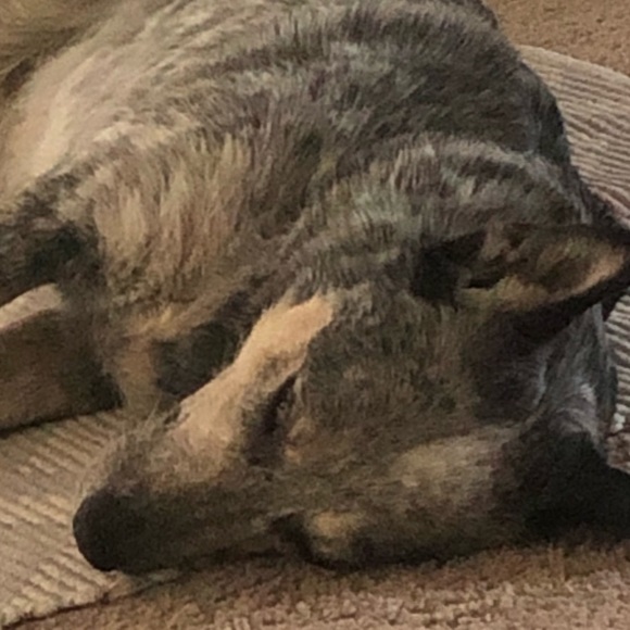 Meet your Posher, Joel - Picture 1 of 1